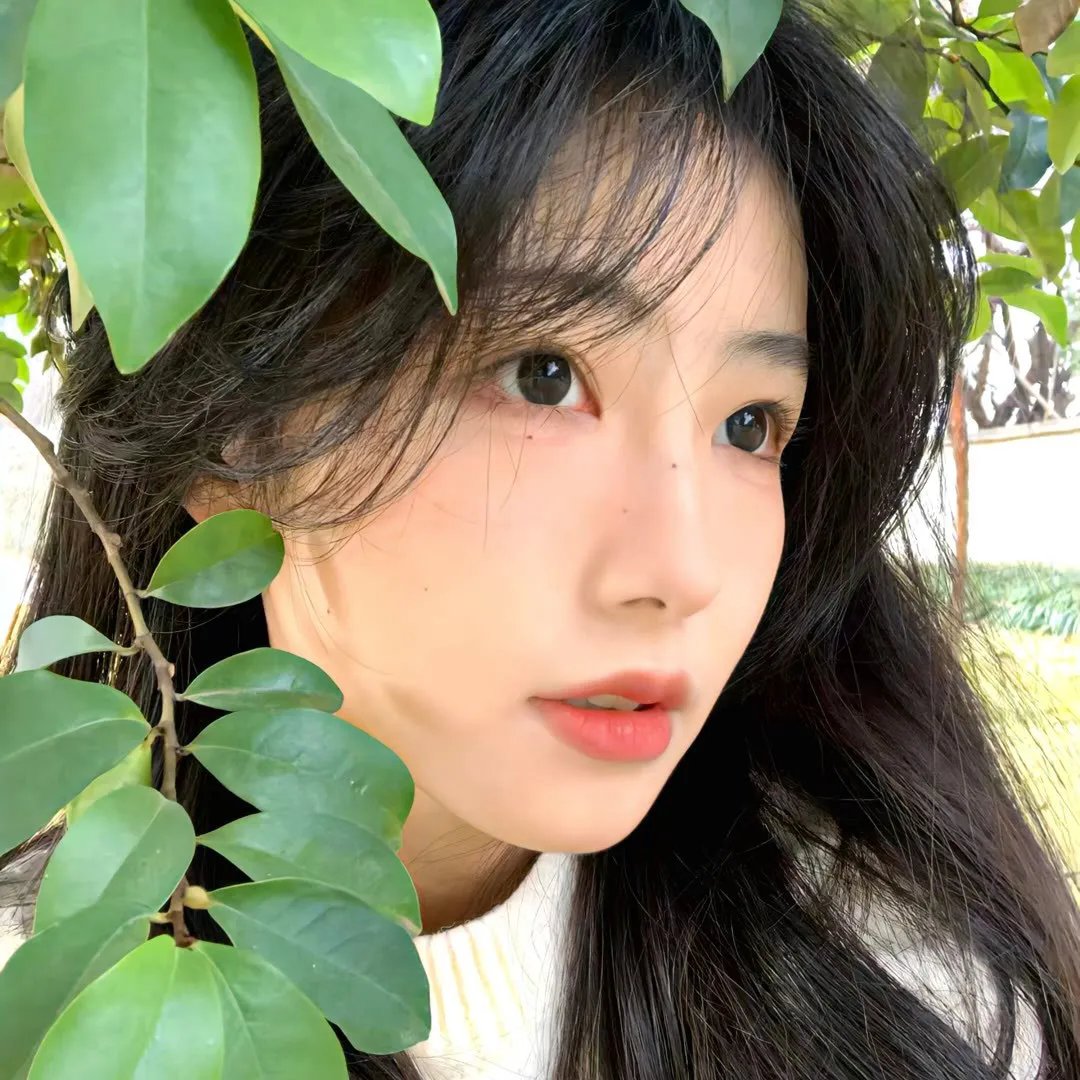 维梅尔:光影大师